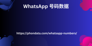 WhatsApp 号码数据