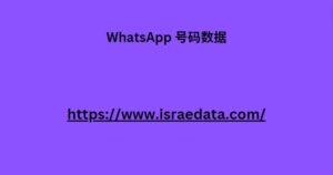 WhatsApp 号码数据 