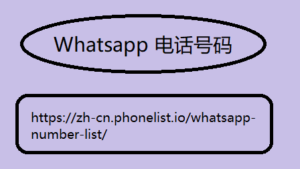 Whatsapp 电话号码