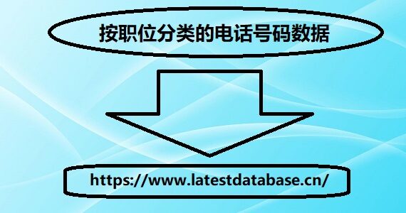 按职位分类的电话号码数据