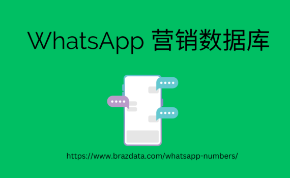 WhatsApp 营销数据库