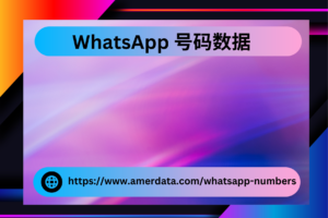 WhatsApp 号码数据