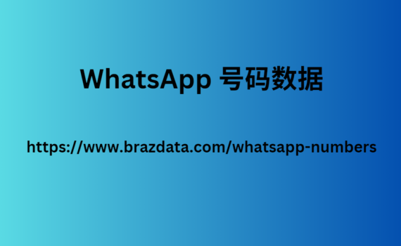 WhatsApp 号码数据